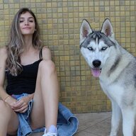 400kg - weight does matte